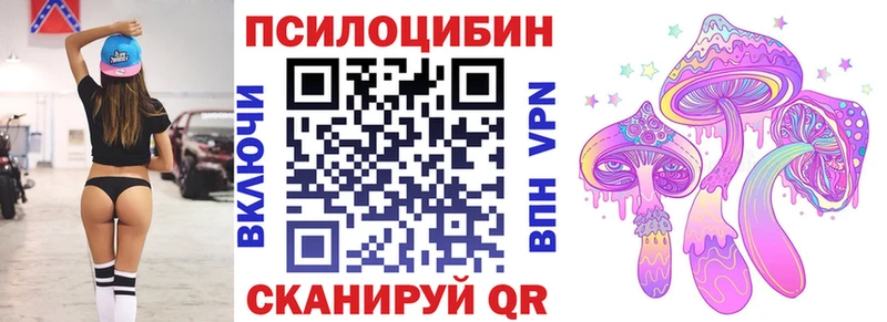 Купить  Кубинка  Псилоцибиновые грибы MAGIC MUSHROOMS 